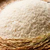 Lộc Trời Group and Tấn Vương Food JSC to export 84,000 tonnes of rice to China