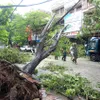 Typhoon Wypha weakens to tropical depression, bringing widespread rains across the north