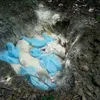 Bình Phước buries dead sick pigs