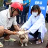 North Việt Nam reports highest rabies deaths