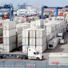 VN’s logistics firms remain small despite potential