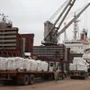 ​​​​​​Cement, clinker exports on track to reach yearly target