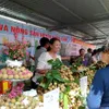 2019 Hưng Yên longan week opens in Hà Nội