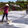 Salt workers struggle under the harsh sun