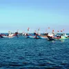 Fishermen urged to fight illegal fishing