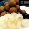 Festival day of Vietnamese longan opens in Australia