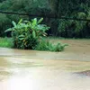 Five killed in northern torrential rain, one missing