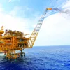 Việt Nam boasts huge petroleum engineering potential