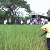 Vietnamese and Thai farmers share initiatives