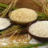 Vietnam needs new vision for rice production