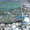 Vietnam's solutions for plastic pollution