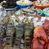 Vietnam’s seafood participates in Expo in North America