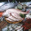 Aquaculture products imported into ASEAN to reach $US1bln