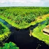 Unstable weather affects shrimp farming in the Mekong delta