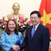 Deputy PM Pham Binh Minh receives Malaysian ambassador