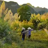 Ninh Binh expects to welcome 7.8 million tourists in 2020