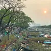 Spring flower festival celebrating Lunar New Year in HCMC