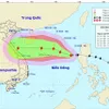 Vietnam braces for tropical storm Saudel