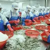 Vietnam ships first batch of shrimp to EU under new trade pact