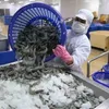 Vietnam’s shrimp exports to EU increase sharply