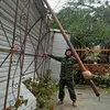 Storm Vamco wreaks havoc in central Vietnam