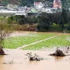 Heavy rains hit central localities and Central Highlands