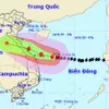 Typhoon Vamco with gusts up to 165km per hour, 390km from Da Nang - Hue coast