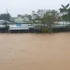 UK government donates GBP500,000 to support flood victims in central region