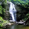 Khe Kem waterfall: A white silk strip in Pu Mat National Park