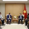 Deputy PM hosts investors interested in LNG power development in Vietnam