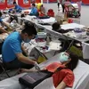 HCM City’s youths donate blood to fight coronavirus disease