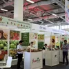 Vietnamese firms attend Fruit Logistica 2020