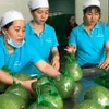 New opportunities for Vietnamese fruits and vegetables