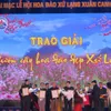 Lang Son Peach Blossom Festival kicks off