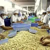 Vietnam’s two-month cashew exports to US up