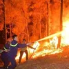 Proactively preventing and fighting forest fires