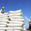 Price of rice export highest in past two years