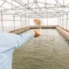 Photovoltaic application in aquaculture to be piloted in Mekong Delta