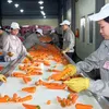 Improved processing industry helps enhance agricultural products