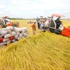 Vietnam’s agriculture aims for world top’s 15 by 2030