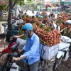 Bac Giang wraps up 2020 lychee season with revenues of VND6.9 trillion