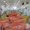 Vietnam’s seafood exports down 10% due to coronavirus impact