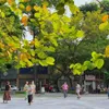 Autumn – Hanoi’s most seductive season