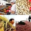 Affirming Vietnamese agricultural products’ value