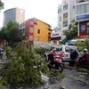 Tropical Storm Noul kills one as it makes landfall in Thua Thien Hue