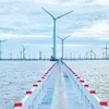 Roadmap recommended for offshore wind power development