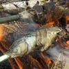 Ca Nuong Do (steamed broiled fish) in Hoa Binh province