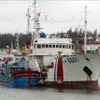 VN adopts EU recommendations to combat IUU fishing