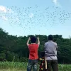 Old man spends whole life protecting storks