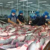 Seafood firm Vĩnh Hoàn to pay dividend in shares